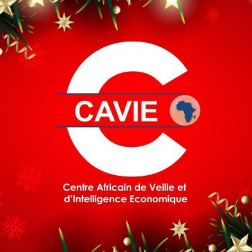 ACCI – Centre Africain de Veille & d’Intelligence Économique (CAVIE)