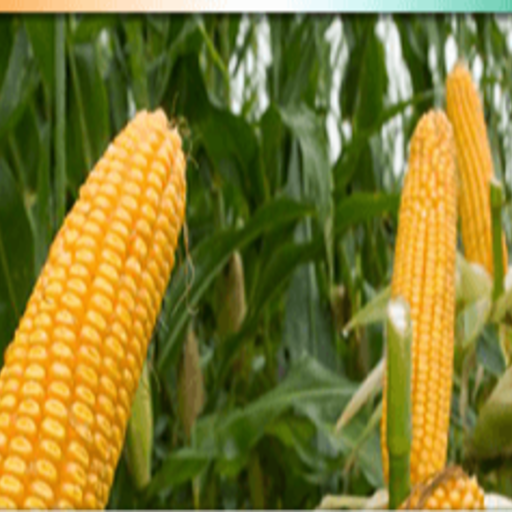 AgriSmart, Inc. Côte d'Ivoire