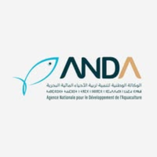 Anda