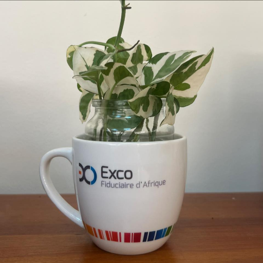 Fiduciaire d’Afrique