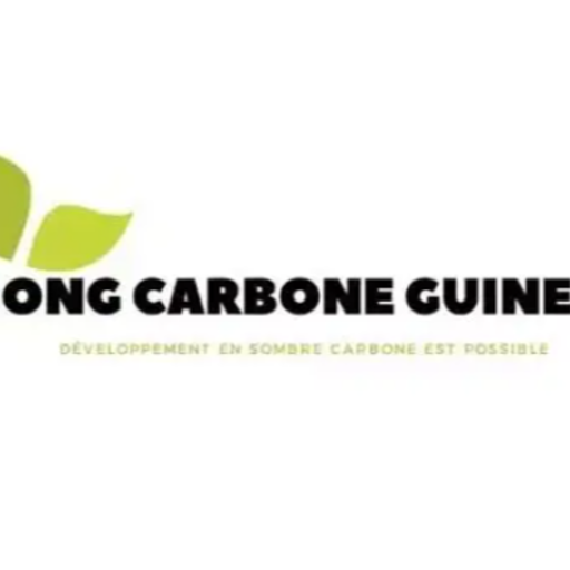 ONG Carbone Guinée: ONG Environnementale en Guinée