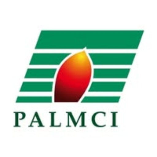 Palmci